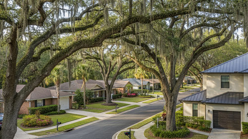 A Complete Mandarin, Jacksonville, FL Area Guide &hellip;