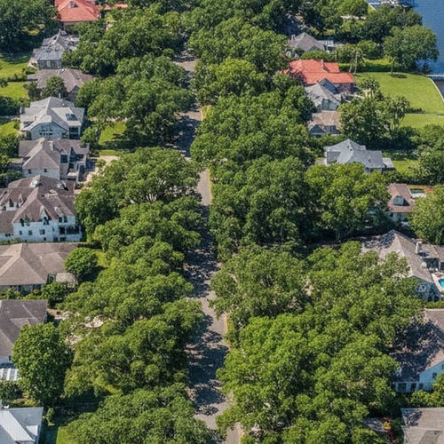 Comparing Real Estate in Ortega and Ortega Hills in Jacksonville, FL