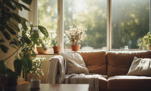 Why Natural Light Has Become One of a Home’s Most …
