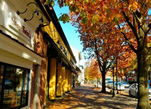 Camden County (1)