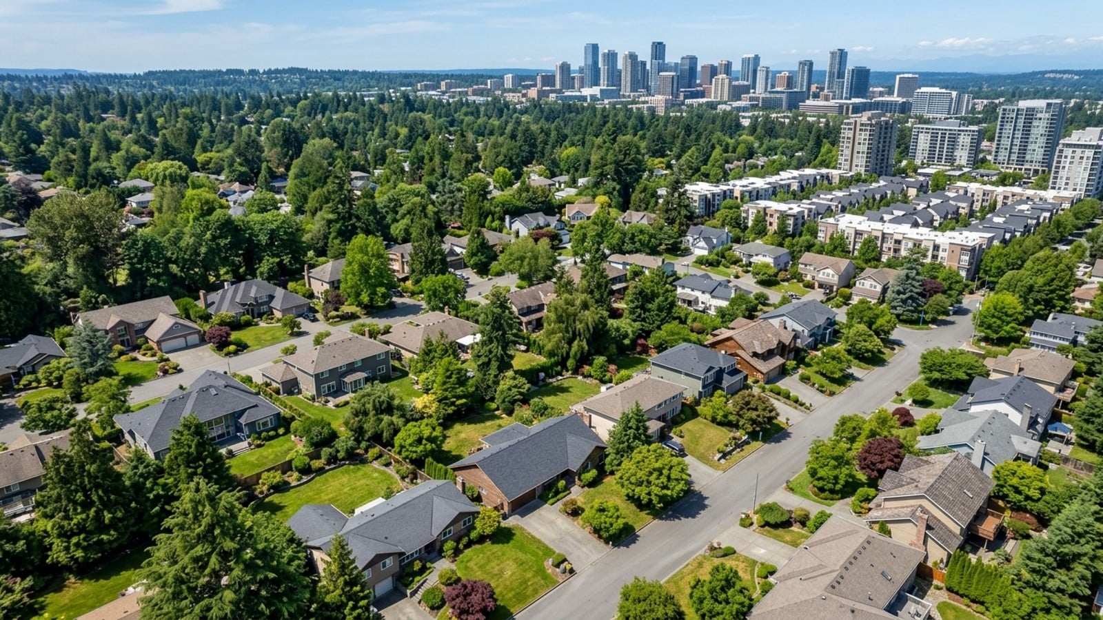 Custom Image