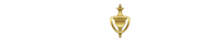 stein-logo-white