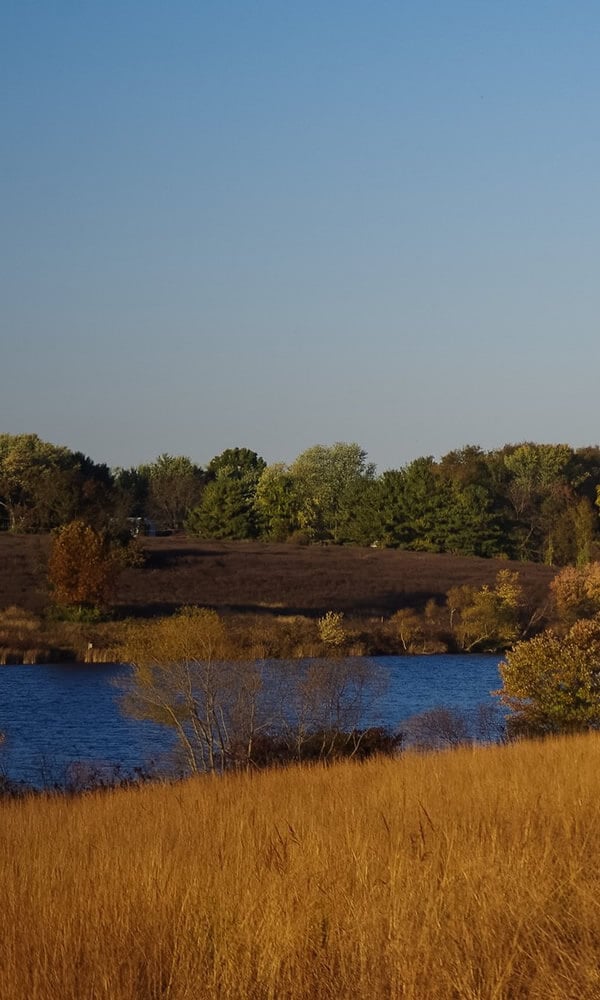 22410318492_523d86c1c7_k-1