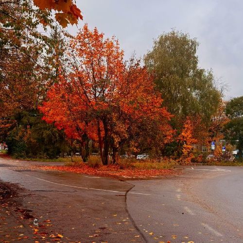 The Best Neighborhoods in Denver to Visit or Call Home: A Local Realtor’s Guide