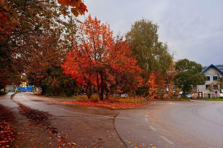 The Best Neighborhoods in Denver to Visit or Call Home A Local Realtor’s Guide