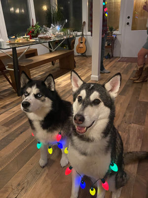 Jess Powers Profile Page &#8211; Gallery Image 3