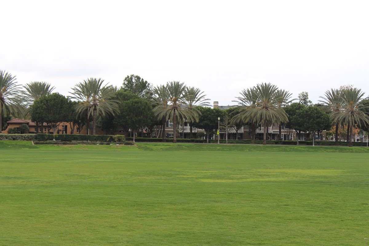 Avendale Village - Gerard Lifestyle Real Estate