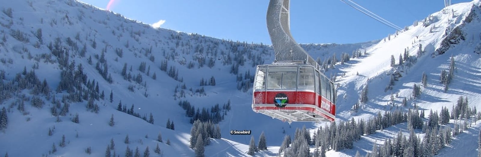 snowbird_hero