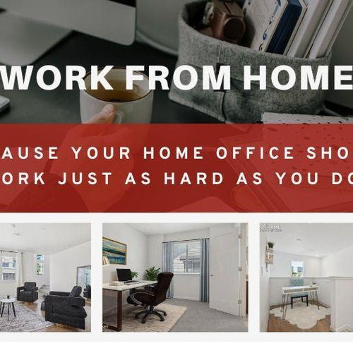 Monica’s Picks: Elevate Your Work From Home Setup