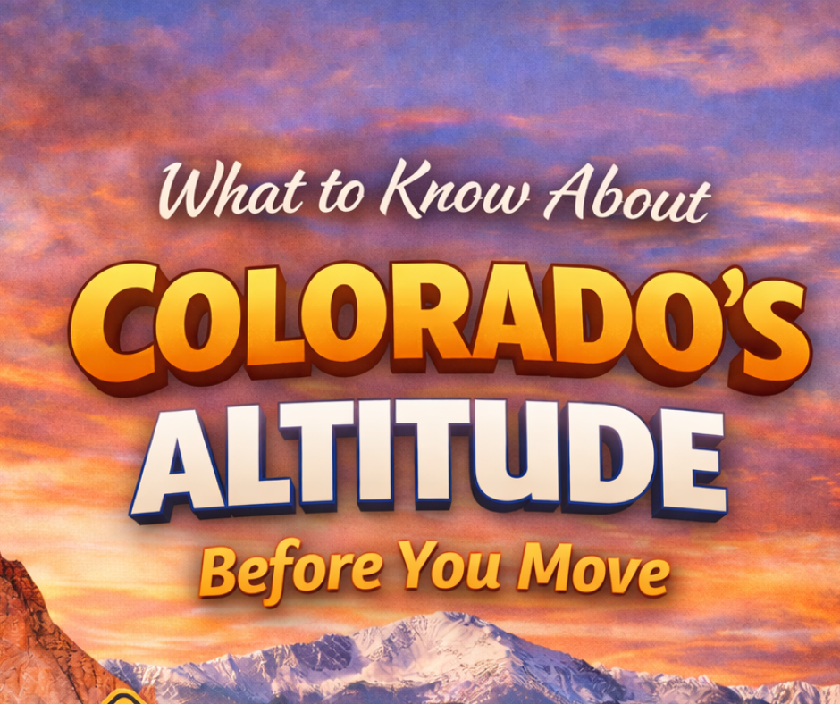 Email Header 2026 Buyer Essentials Series (4)