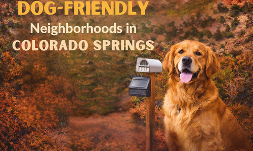 My Top 3 Favorite Dog-Friendly Neighborhoods in Co&hellip;