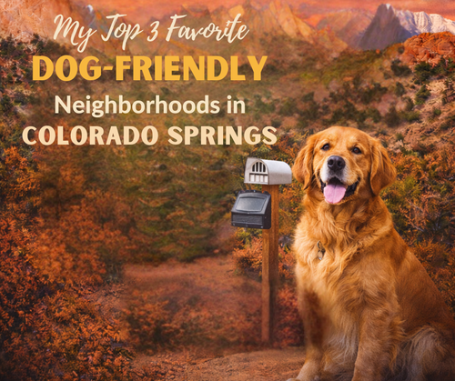 My Top 3 Favorite Dog-Friendly Neighborhoods in Colorado &hellip;