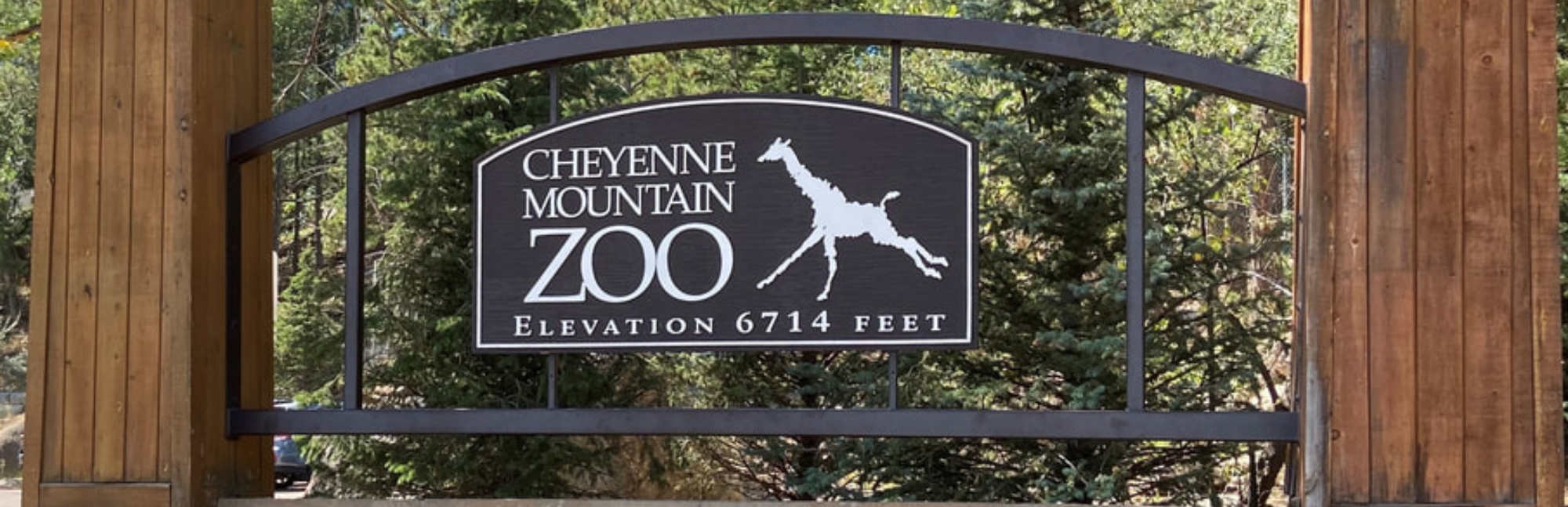 eras tour ticket (2)