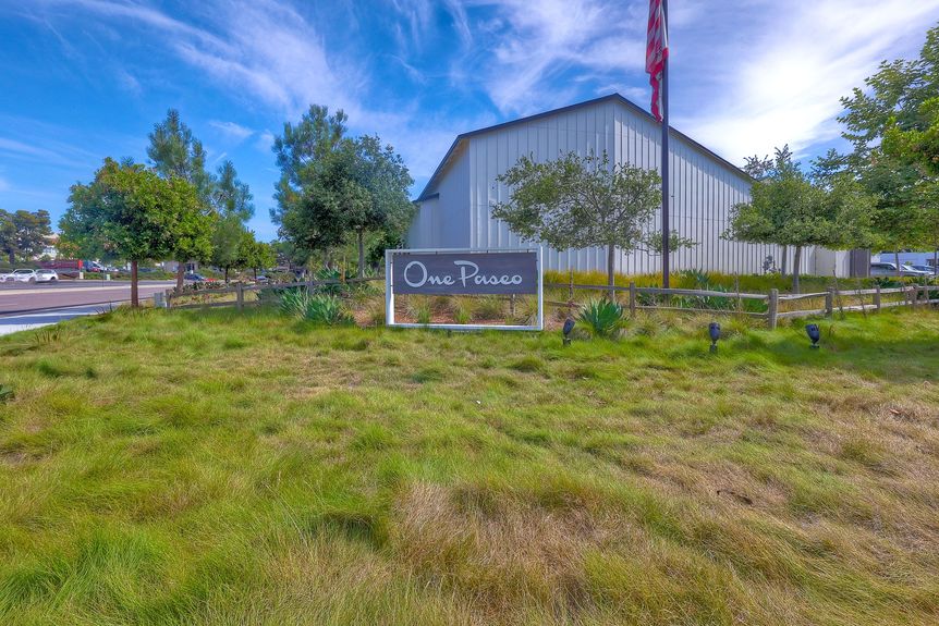 pell_pl_3877_215_31_5XmPKJ8E_print