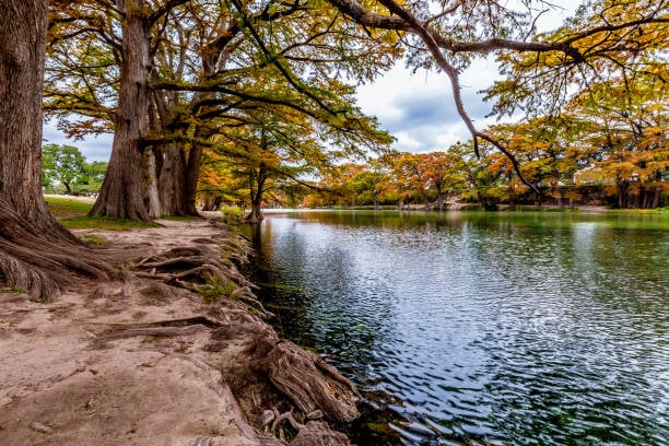 Frio River flowing through Bear Creek State Park in Texas Hill Country