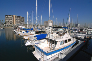 Marina City Club 1