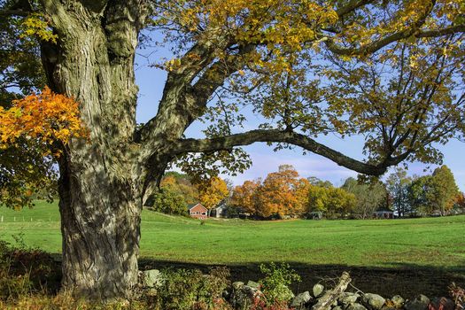 Hanover