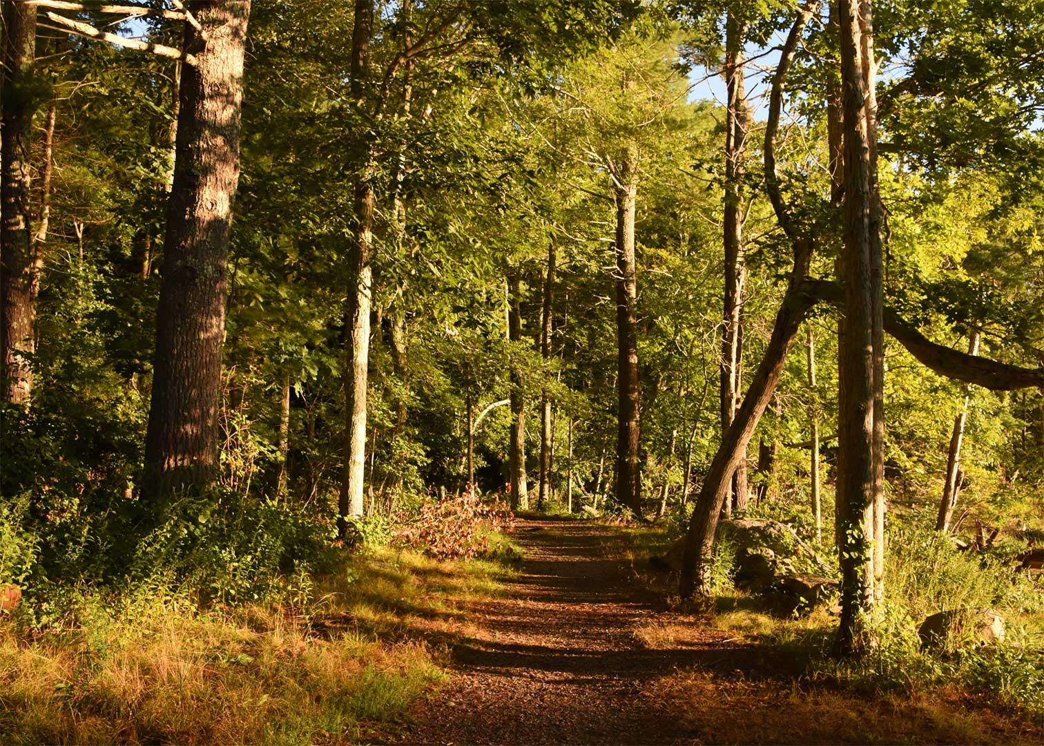 Real Estate Pembroke MA Helping Clients Buy and Sell Homes