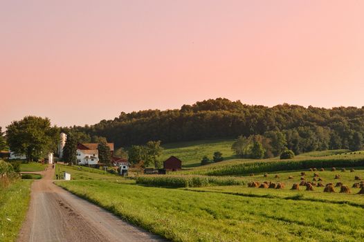 Country & Farm Living