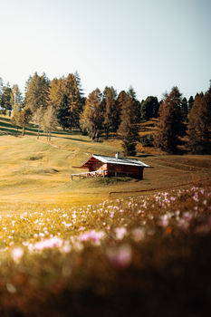 Homes with Land